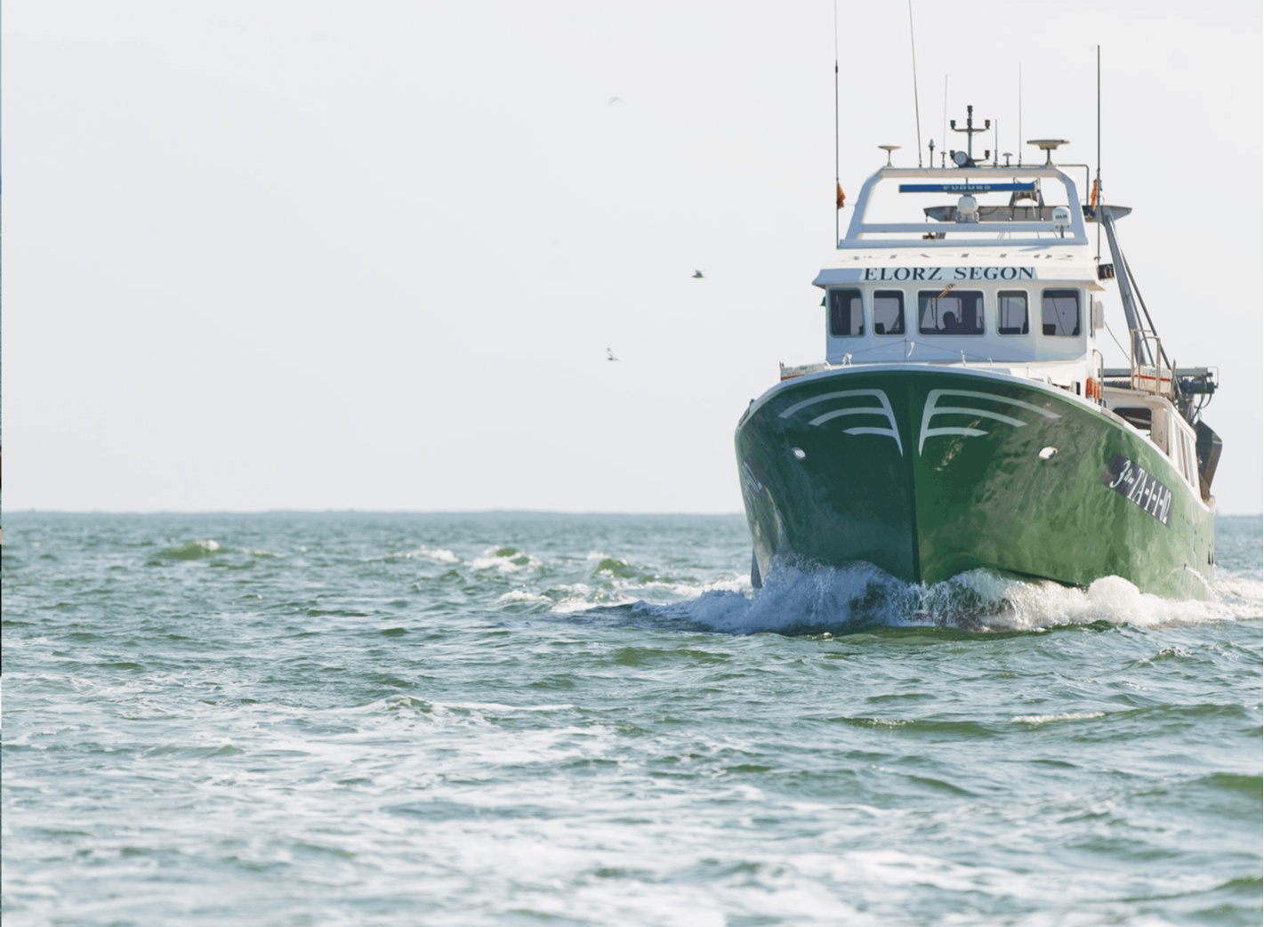 Barco Pesquero Nasai navegando